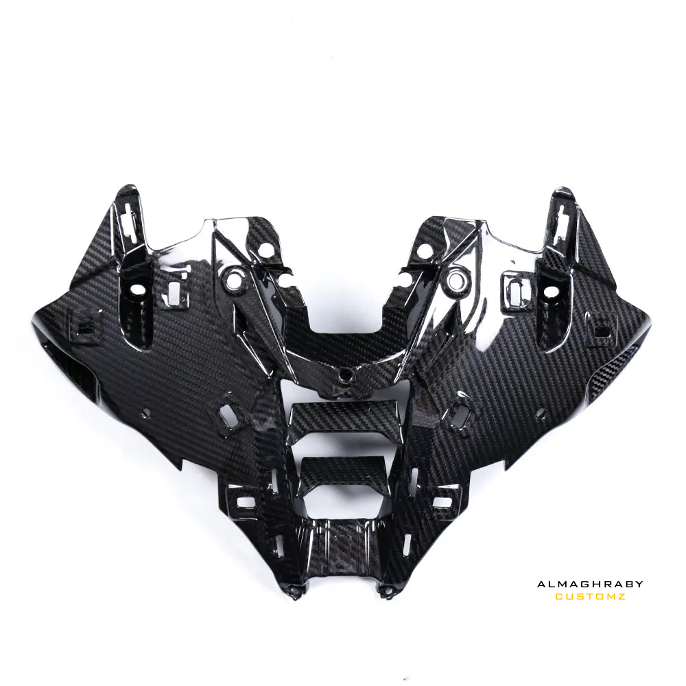 2025 BMW S1000RR CARBON AIR INTAKE COVER product view 1