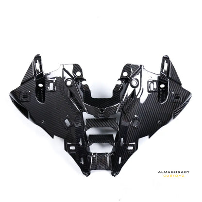 2025 BMW S1000RR CARBON AIR INTAKE COVER product view 1